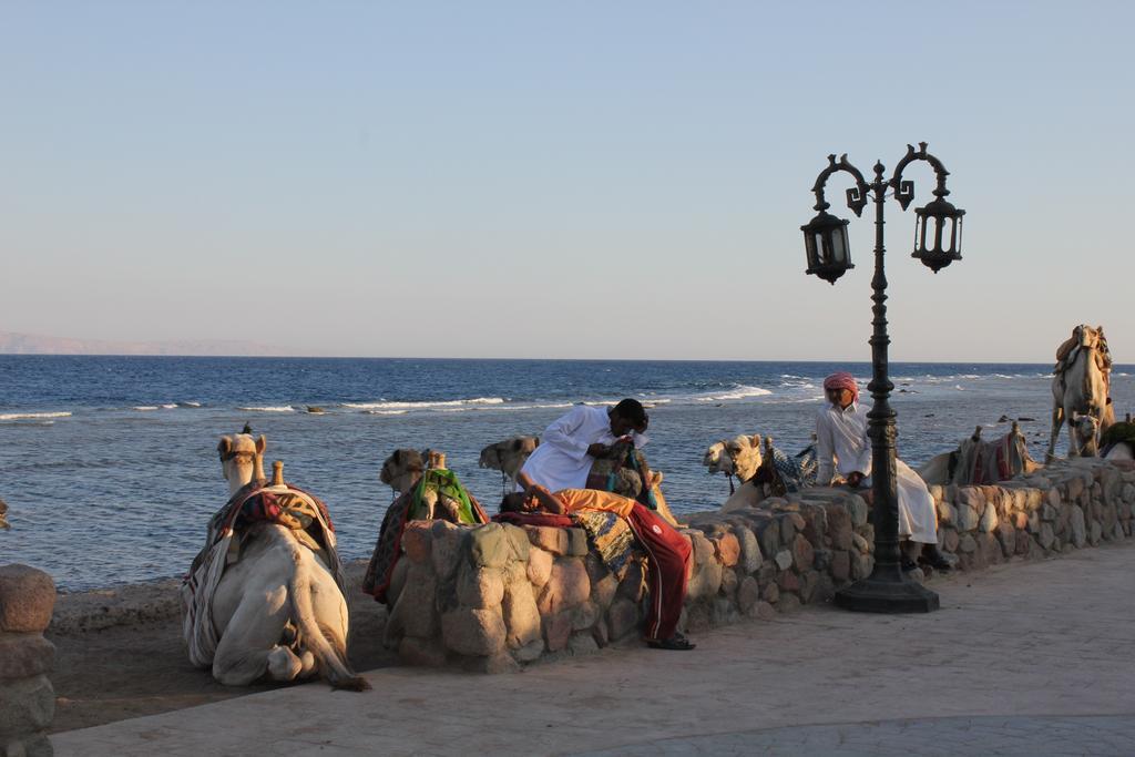 La Reine Dahab Hotel Exterior foto